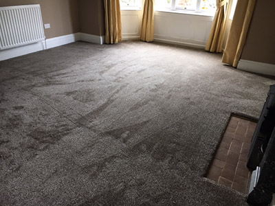 Quality grey carpet in living room